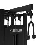 Afbeeldingen van Platinum Multi Station/4 Stations - Selectorized - V-series